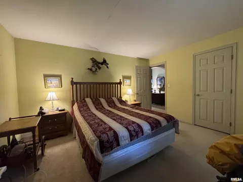 6924 Garden View Ln, Springfield, IL 62712 photo 26