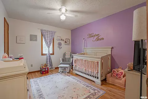 Other - 602 E 10th St, Delavan, IL 61734 photo 5 of 6