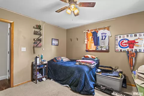 Bedroom - 29 Birch Dr, Chatham, IL 62629 photo 4 of 6