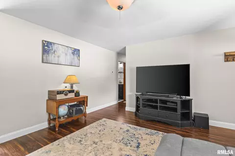 Living - 29 Birch Dr, Chatham, IL 62629 photo 3 of 5