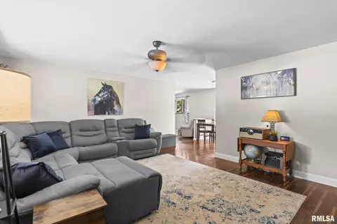 Living - 29 Birch Dr, Chatham, IL 62629 photo 2 of 5