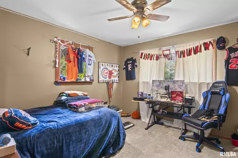 Other - 29 Birch Dr, Chatham, IL 62629 photo 4 of 4