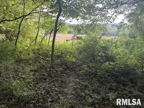 E 1850 Road, Dennison, IL 62423 photo 19
