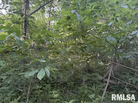 E 1850 Road, Dennison, IL 62423 photo 15