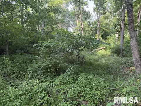 E 1850 Road, Dennison, IL 62423 photo 13