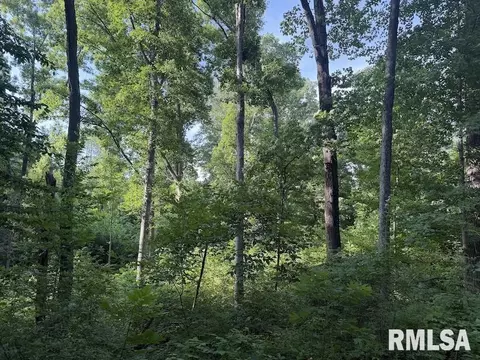 E 1850 Road, Dennison, IL 62423 photo 10