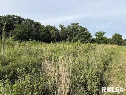 E 1850 Road, Dennison, IL 62423 photo 5