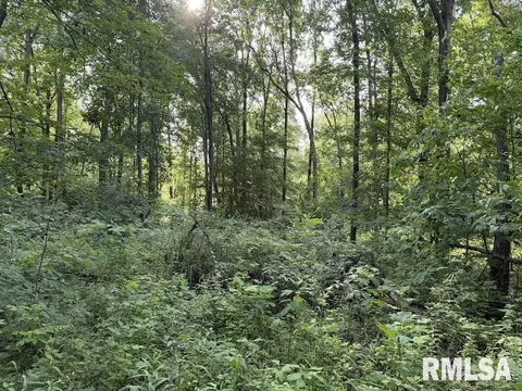 E 1850 Road, Dennison, IL 62423 photo 9
