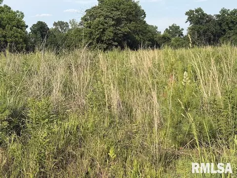 E 1850 Road, Dennison, IL 62423 photo 26
