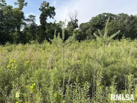 E 1850 Road, Dennison, IL 62423 photo 6