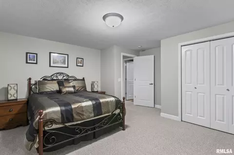 2809 Covered Wagon Trl, Springfield, IL 62711 photo 43