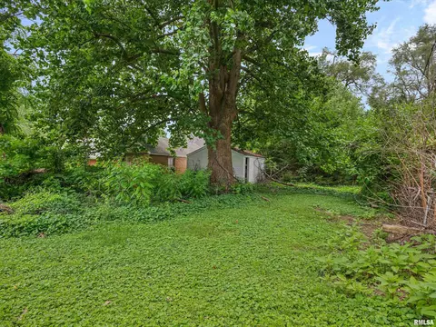 Exterior - 609 Wood Ave, Springfield, IL 62702 photo 10 of 10