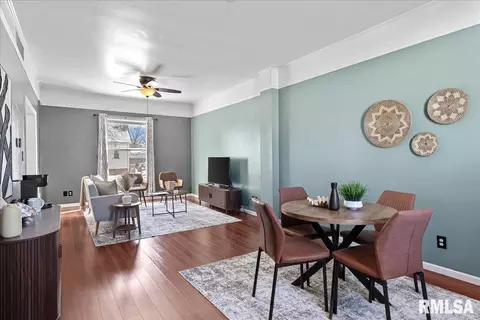 Living - 831 Henrietta St, Springfield, IL 62704 photo 2 of 2