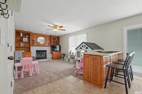 Other - 416 S Maple Ave, Minier, IL 61759 photo 2 of 10