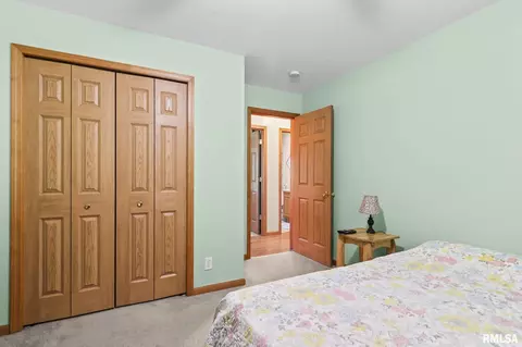 6175 Crows Mill Rd, Springfield, IL 62707 photo 23