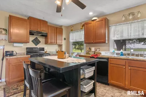 17124 Engle St, Athens, IL 62613 photo 8