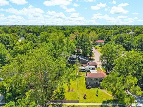 View/Area - 110 Edgar St, Lincoln, IL 62656 photo 3 of 5