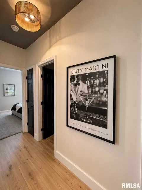 Entry Way - 3928 Old Mill Ln, Springfield, IL 62711 photo 4 of 4