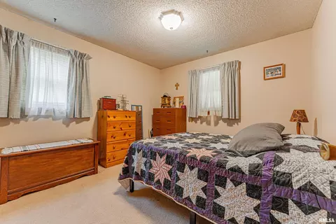 121 Elm St, Latham, IL 62543 photo 16