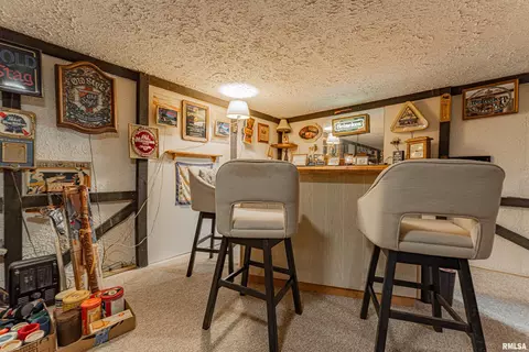 121 Elm St, Latham, IL 62543 photo 19