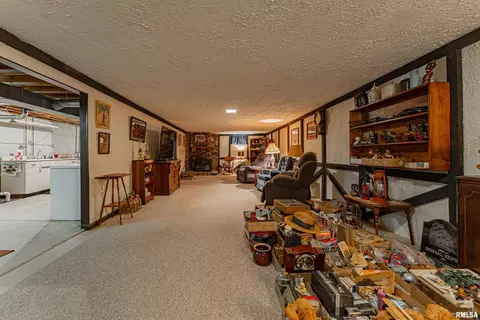 121 Elm St, Latham, IL 62543 photo 20