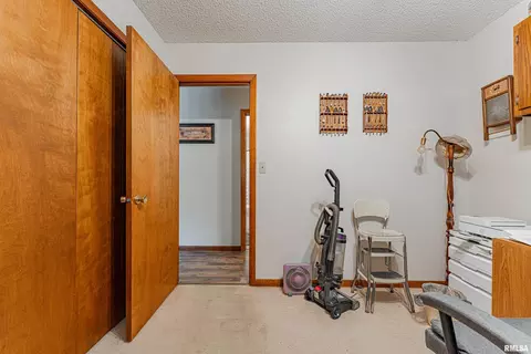 121 Elm St, Latham, IL 62543 photo 13