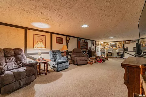 121 Elm St, Latham, IL 62543 photo 21