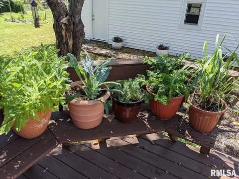 Exterior - 2432 S State St, Springfield, IL 62704 photo 9 of 12
