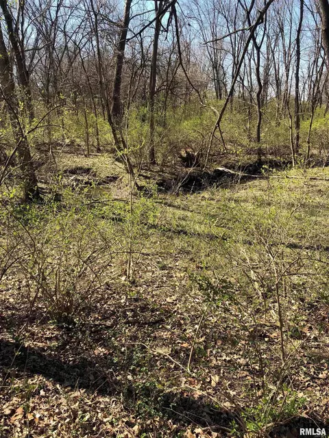 3908 Vanderbilt Cir, Springfield, IL 62711 photo 3