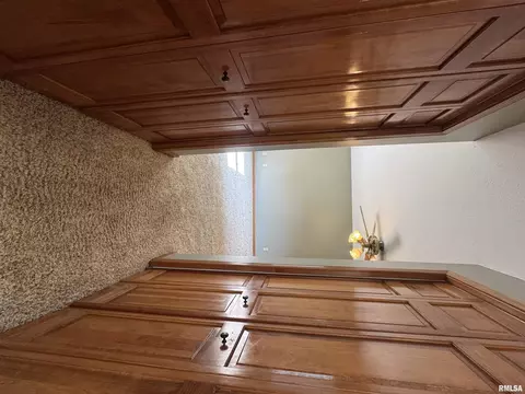 Entry Way - 8050 Little Eagle Dr, Springfield, IL 62712 photo 3 of 4