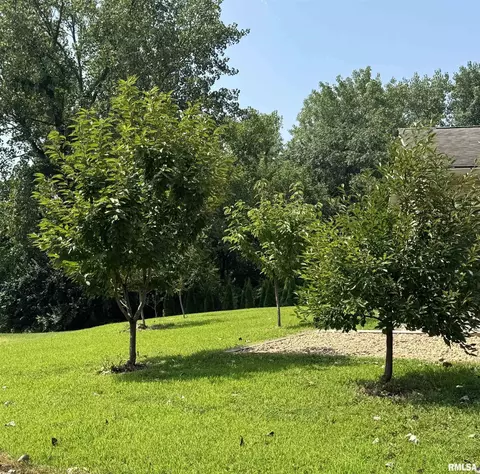 Exterior - 8050 Little Eagle Dr, Springfield, IL 62712 photo 22 of 23