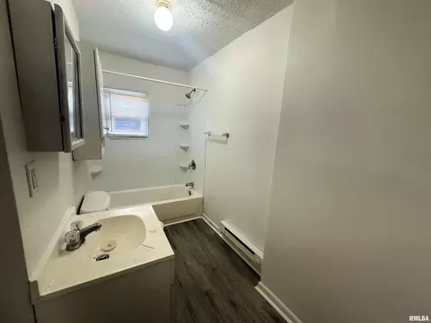 1117 S 12th St, Springfield, IL 62712 photo 6