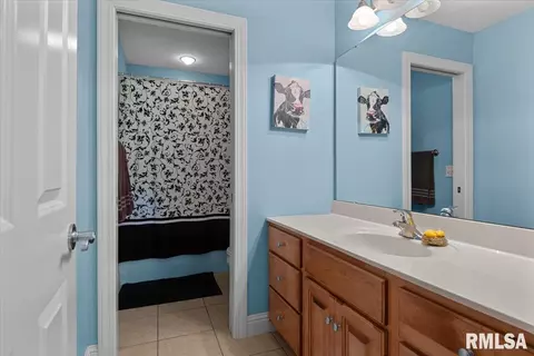 Bath - 1904 Grist Mill Dr, Springfield, IL 62711 photo 2 of 4