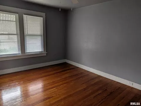 Other - 159 W Locust St, Canton, IL 61520 photo 4 of 14