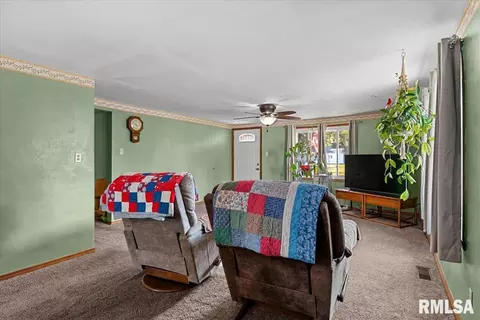 Other - 452 Elder Ave, Palmyra, IL 62674 photo 8 of 10