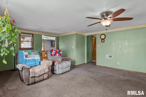 Other - 452 Elder Ave, Palmyra, IL 62674 photo 9 of 10