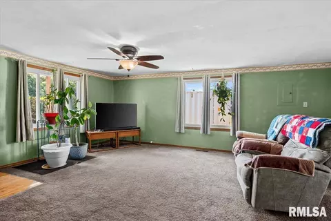 Other - 452 Elder Ave, Palmyra, IL 62674 photo 6 of 10