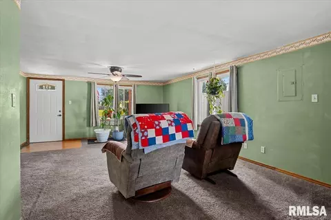 Other - 452 Elder Ave, Palmyra, IL 62674 photo 7 of 10