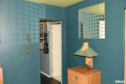 Other - 205 E Ann St, Tallula, IL 62688 photo 9 of 13