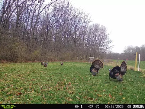 Other - 1761 Tozer Rd, Springfield, IL 62707 photo 27 of 27