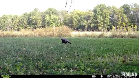 Other - 1761 Tozer Rd, Springfield, IL 62707 photo 26 of 27