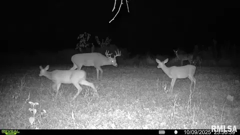 Other - 1761 Tozer Rd, Springfield, IL 62707 photo 25 of 27