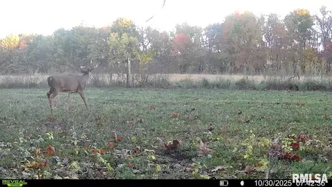 Other - 1761 Tozer Rd, Springfield, IL 62707 photo 20 of 27