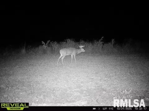 Other - 1761 Tozer Rd, Springfield, IL 62707 photo 24 of 27