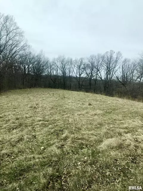 0 County Rd, Mount Sterling, IL 62353 photo 10
