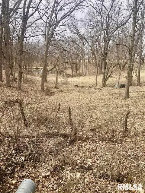 0 County Rd, Mount Sterling, IL 62353 photo 4