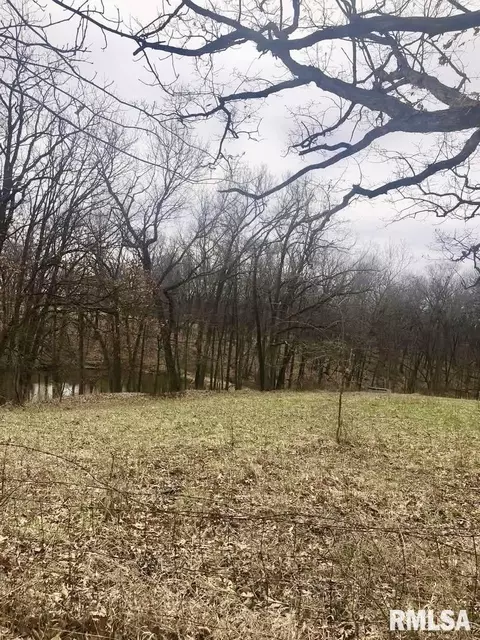 0 County Rd, Mount Sterling, IL 62353 photo 3
