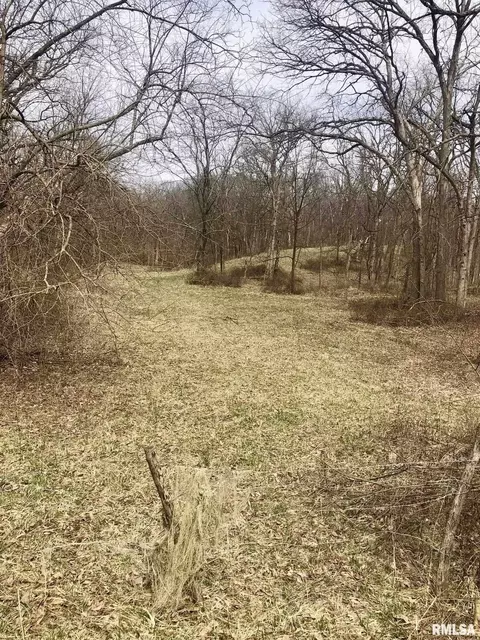 0 County Rd, Mount Sterling, IL 62353 photo 5