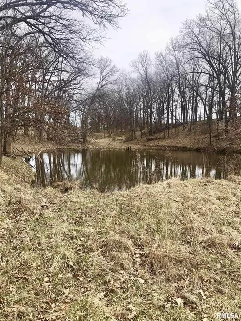 0 County Rd, Mount Sterling, IL 62353 photo 9