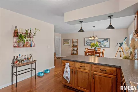 Entry Way - 5104 Dove Dr, Springfield, IL 62711 photo 2 of 2
